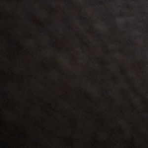 Meet your Posher, Phillip